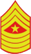 Sergeant Major